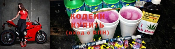 прущие грибы Козловка