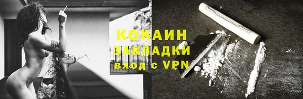 прущие грибы Козловка