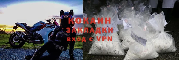прущие грибы Козловка