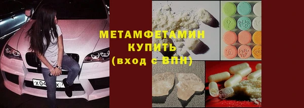 прущие грибы Козловка