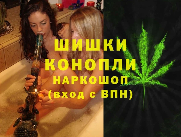 прущие грибы Козловка