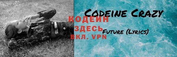 соль ск Козельск